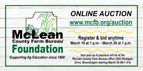 21_OnlineAuction_Graphic