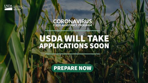CFAP_Twitter_Corn.jpg